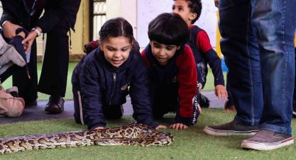 EYFS Animal Show